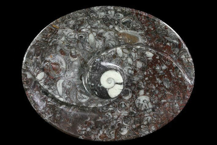 Oval Shaped Fossil Goniatite Dish #73757